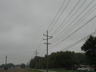 Property photo 5 - 76.8 +/- Acres Mostly Tillable - Land Auction